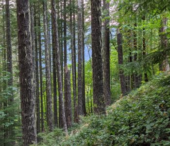 croppedfmplan croppedfmplan