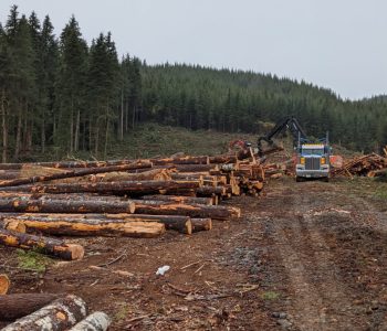 image000000 (1) image000000 (1)