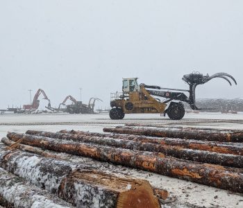 image000000 (5) image000000 (5)