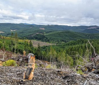 image000000 (9) image000000 (9)